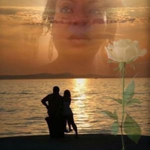 Meet your Posher, Rose